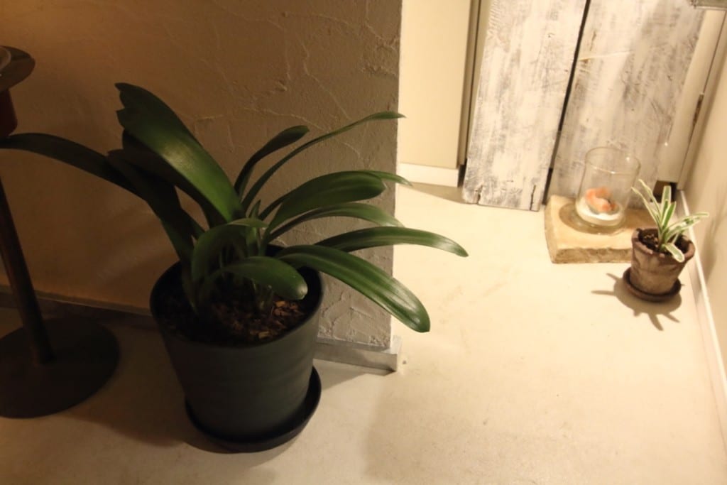 thumb_IMG_7734_1024