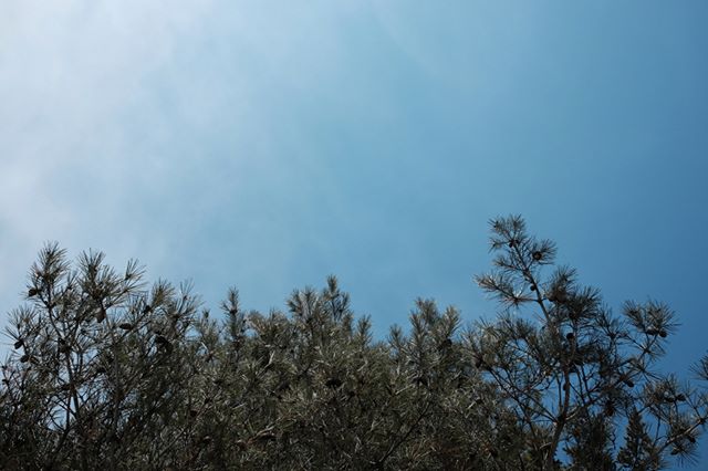 長沼にきて４年目の春になるようです。