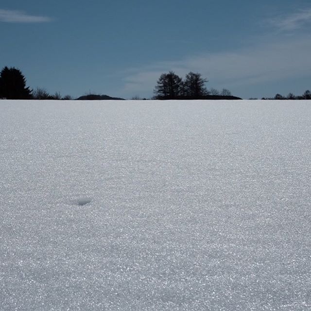 この季節の雪も好きです。 (fm Instagram)